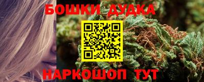крисы Малоярославец