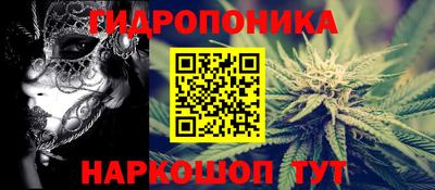 крисы Малоярославец