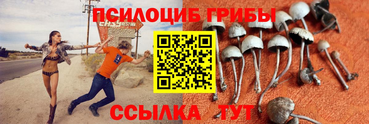 Галлюциногенные грибы Magic Shrooms  Псилоцибиновые грибы Psilocybe  как найти закладки  Сургут  Вход с VPN 