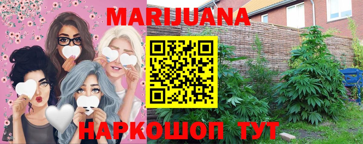 Бошки Шишки SATIVA & INDICA Сургут